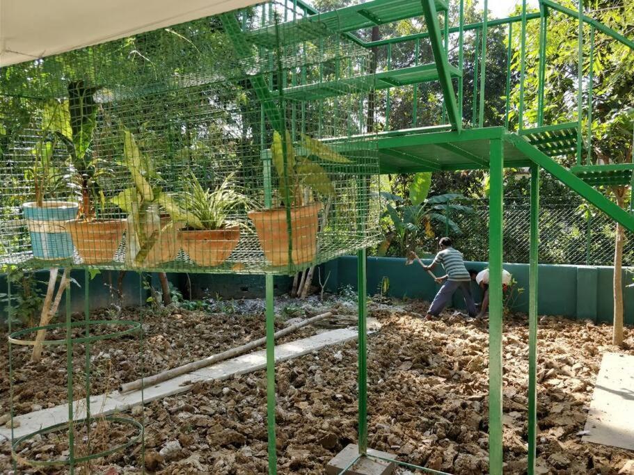 Bhitey Homestay Simantapally / Shantiniketan Bagian luar foto